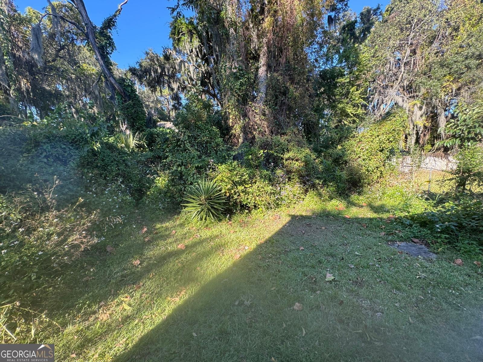 3112 Falligant Avenue Savannah - 4