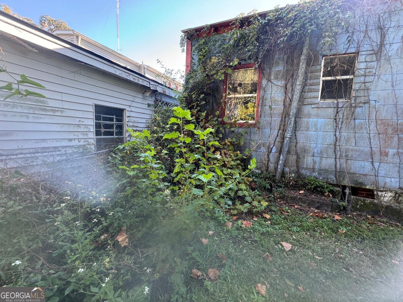 3112 Falligant Avenue Savannah - 6