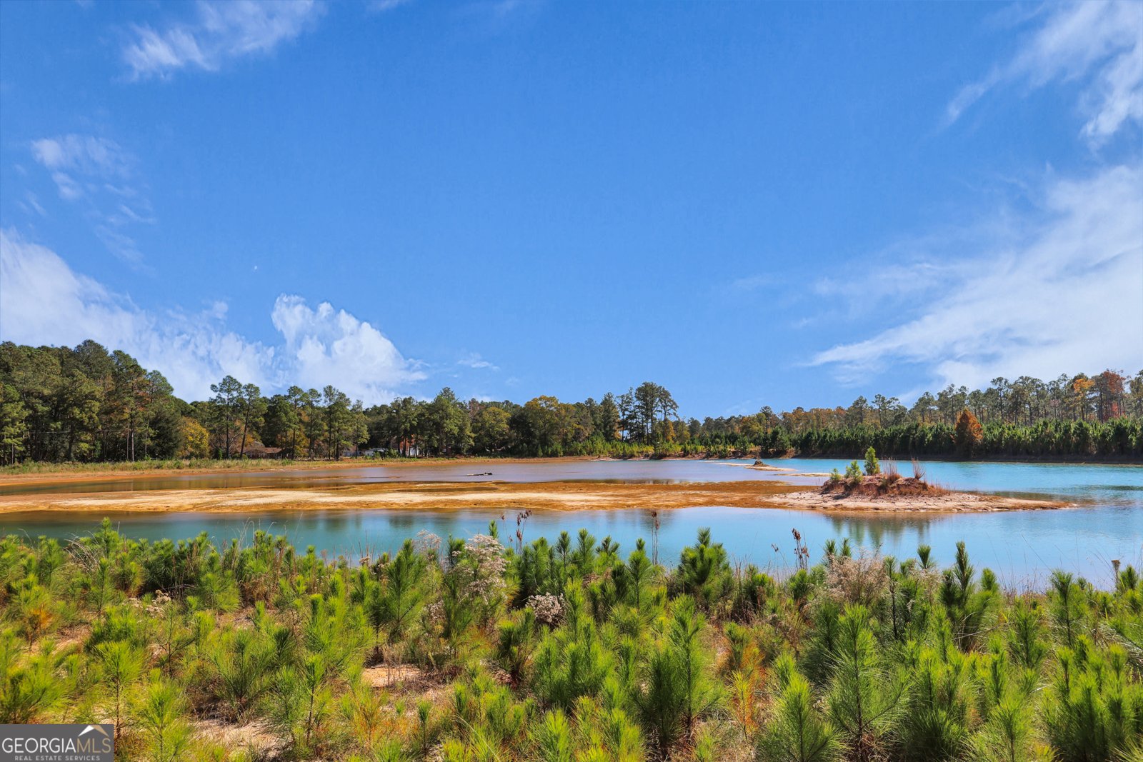 965 Old Olive Branch Road Ellabell - 58