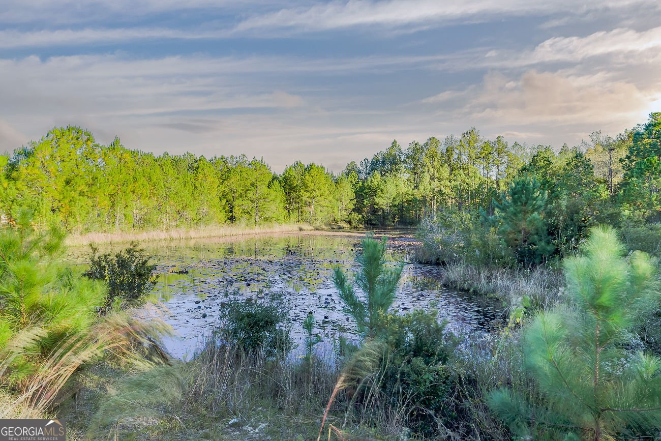 309 Stirrup Court Guyton - 36