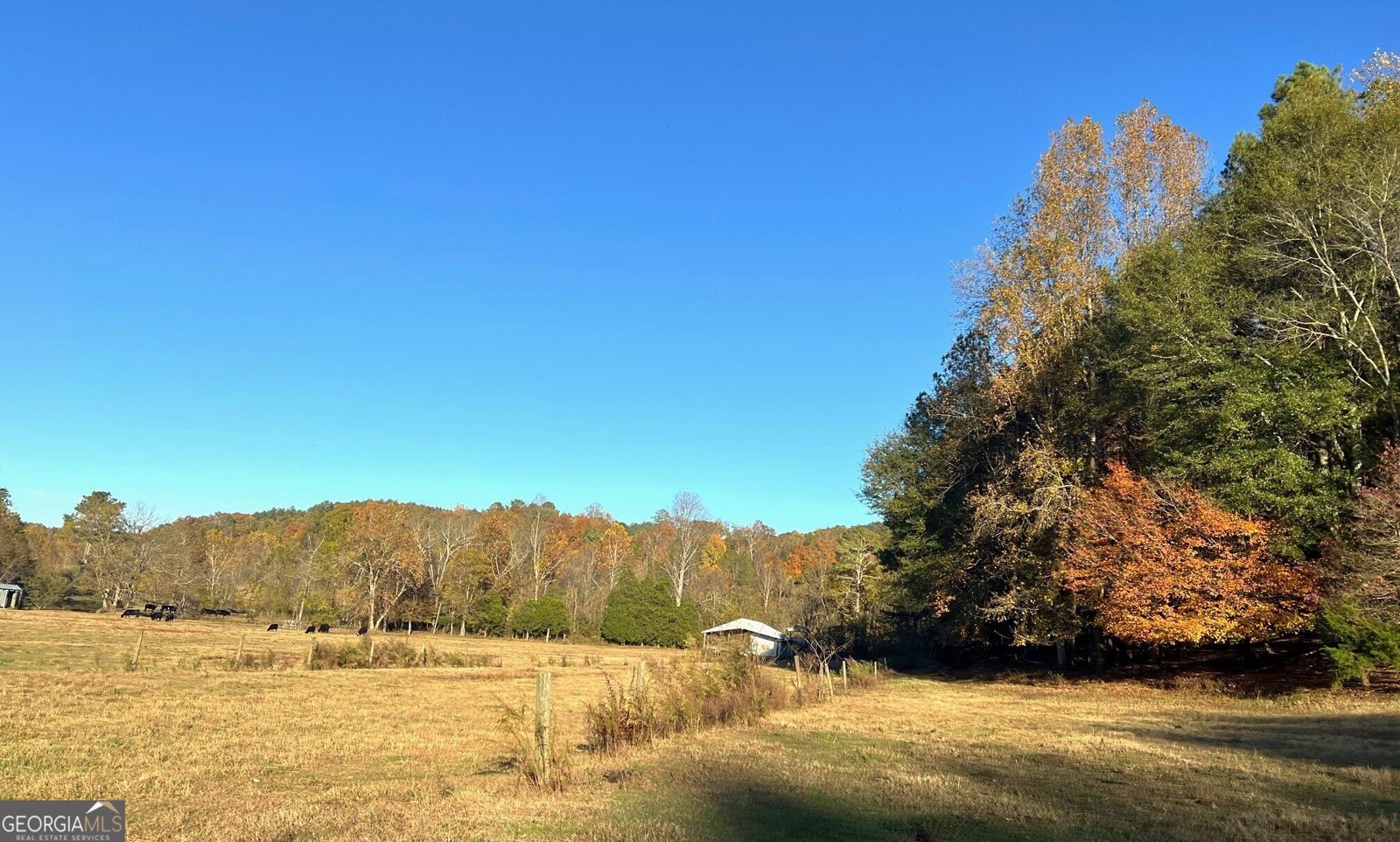 715 Cochran Road Ranger - 29