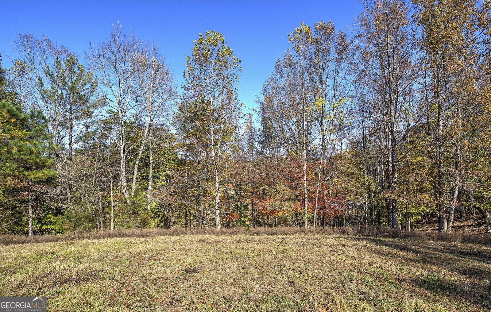 715 Cochran Road Ranger - 32