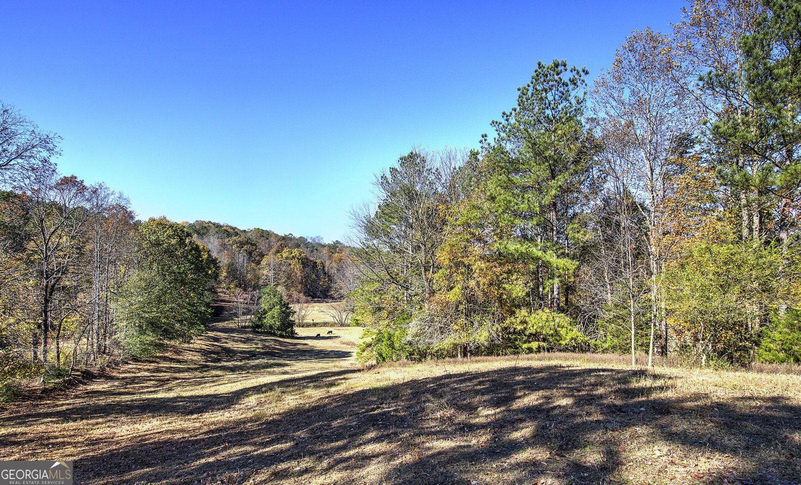 715 Cochran Road Ranger - 33