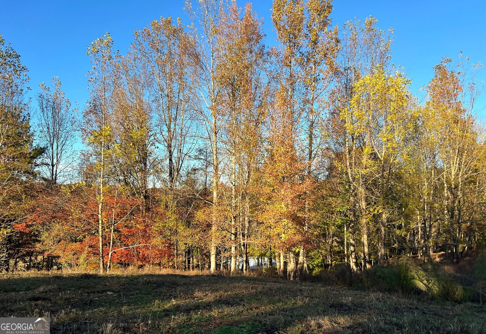 715 Cochran Road Ranger - 35