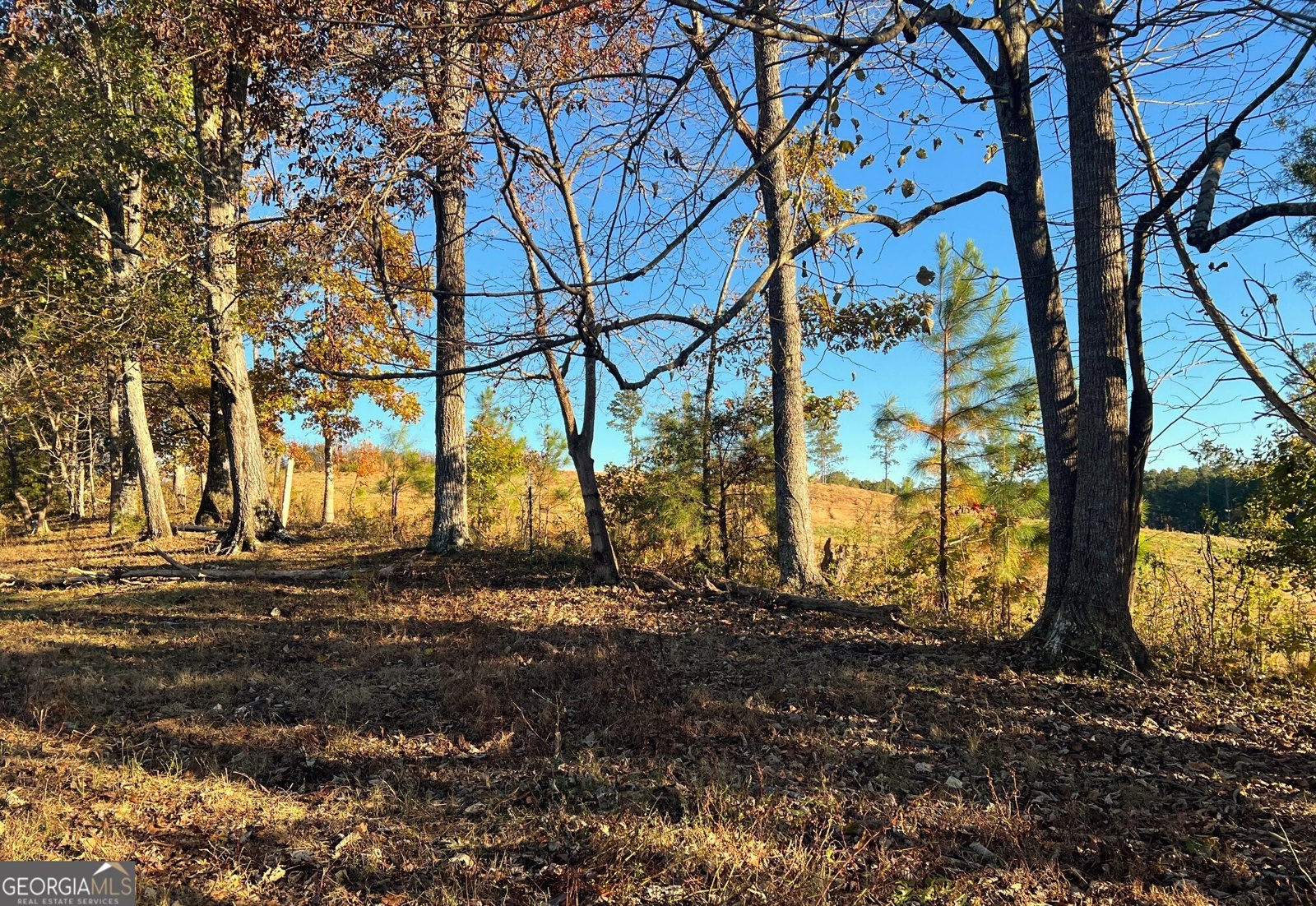 715 Cochran Road Ranger - 36