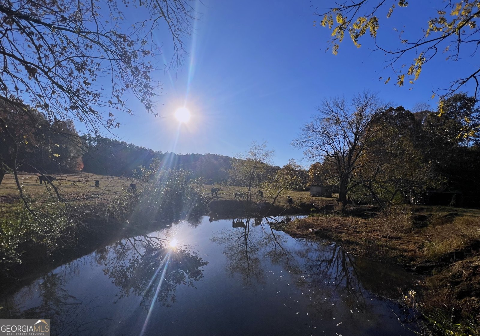 715 Cochran Road Ranger - 38