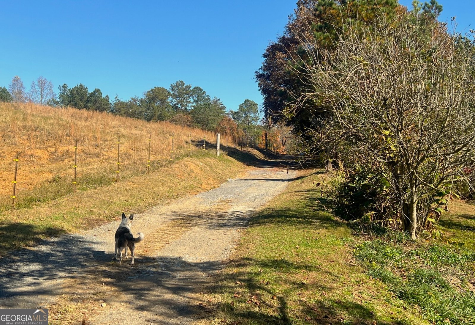 715 Cochran Road Ranger - 40