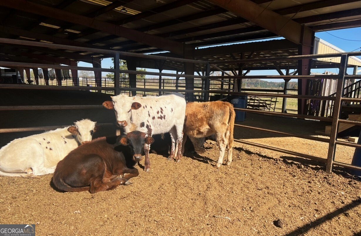 486 County Line Road Resaca - 19