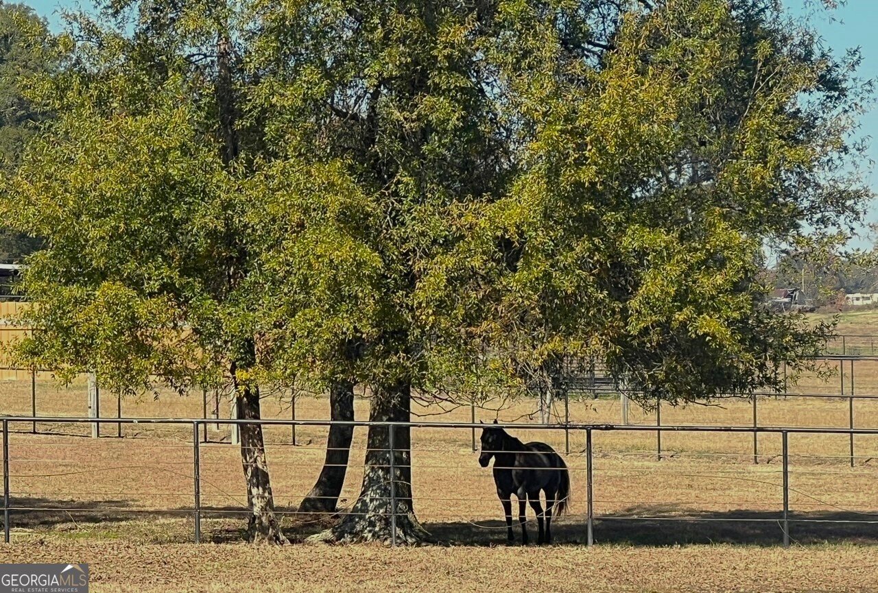 486 County Line Road Resaca - 23