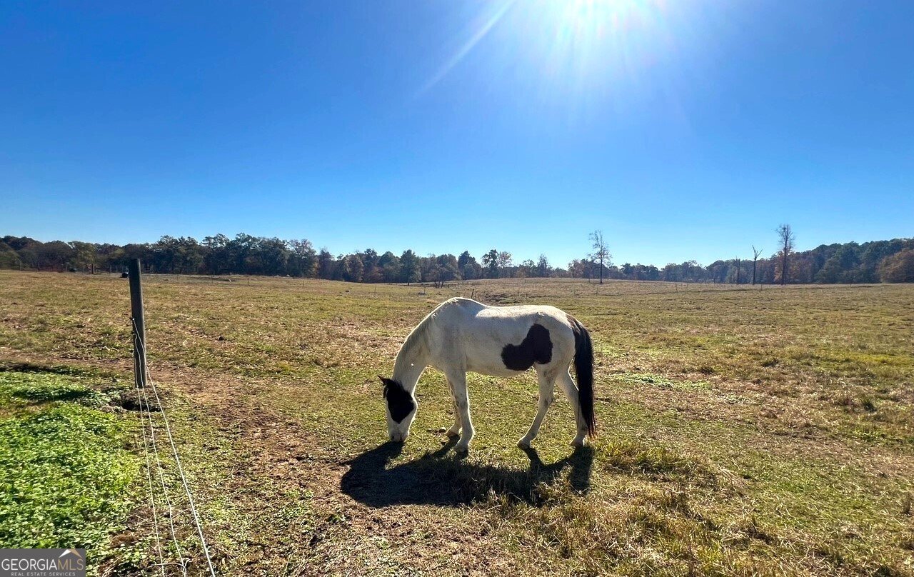 486 County Line Road Resaca - 24