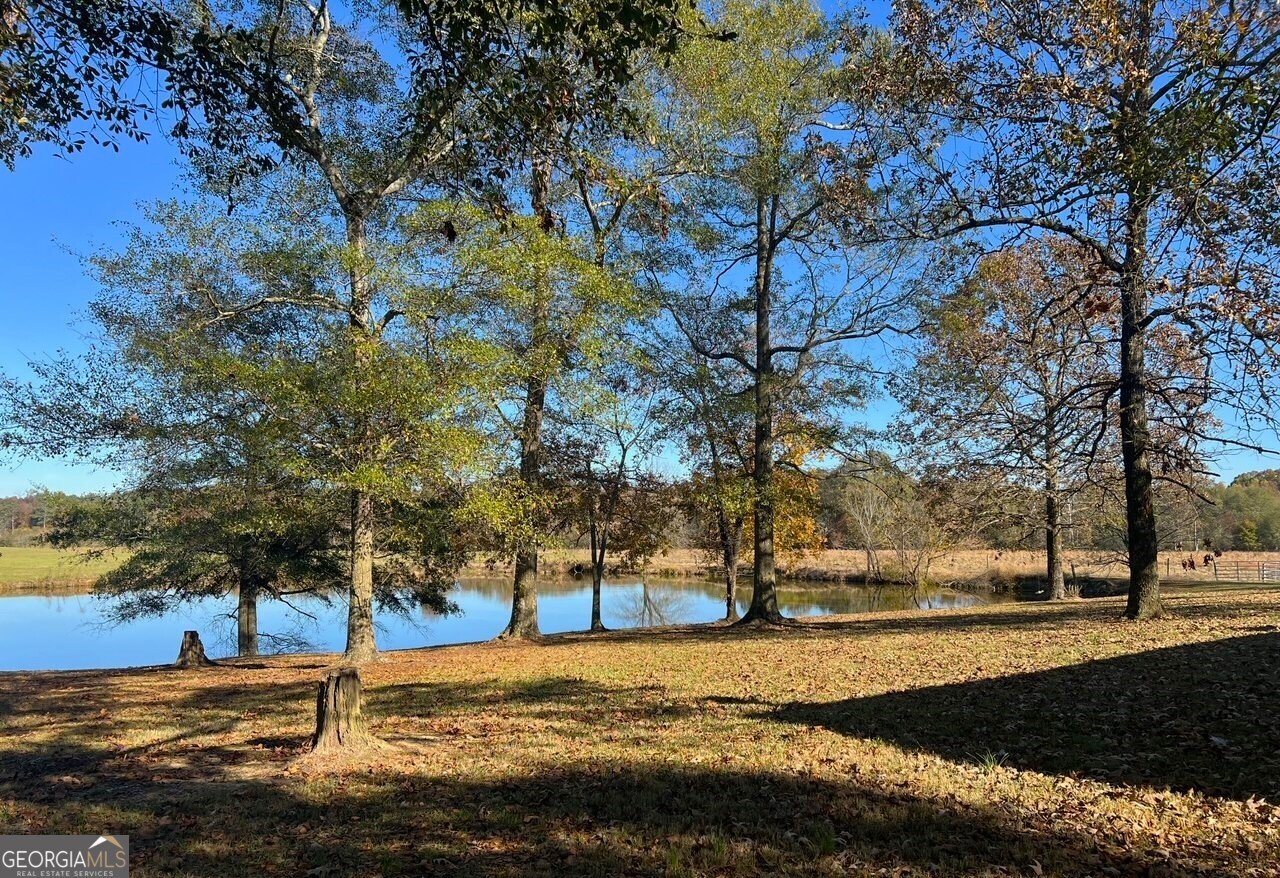 486 County Line Road Resaca - 27