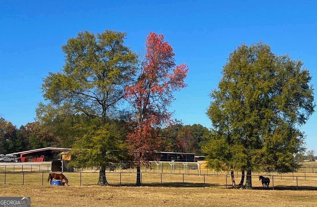 486 County Line Road Resaca - 3