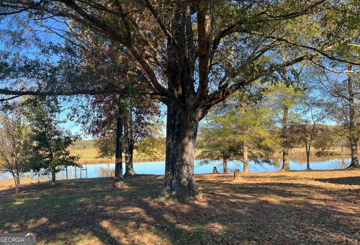 486 County Line Road Resaca - 39