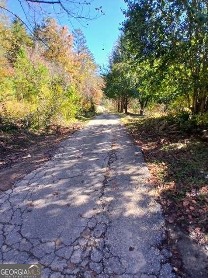 10607 Warwoman Road Clayton - 23