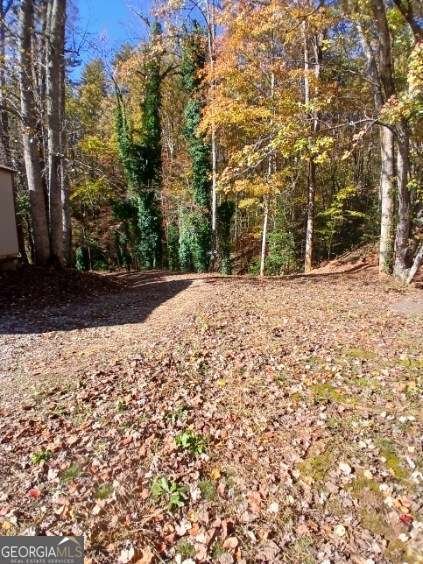 10607 Warwoman Road Clayton - 24