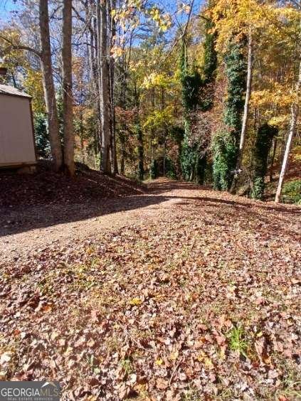 10607 Warwoman Road Clayton - 25