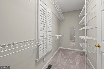 98 Millstream Court Carrollton - 19