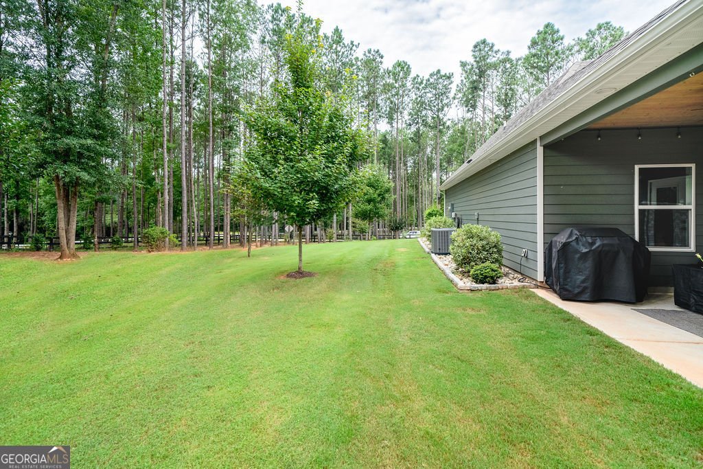 31 Ozark Woods Drive Newnan - 28