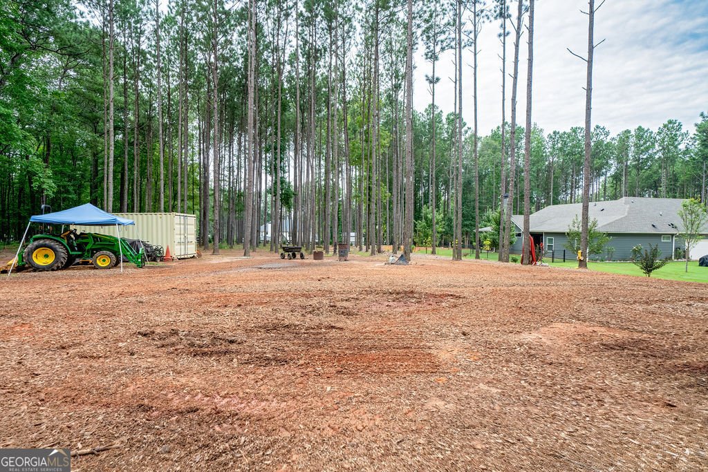 31 Ozark Woods Drive Newnan - 36