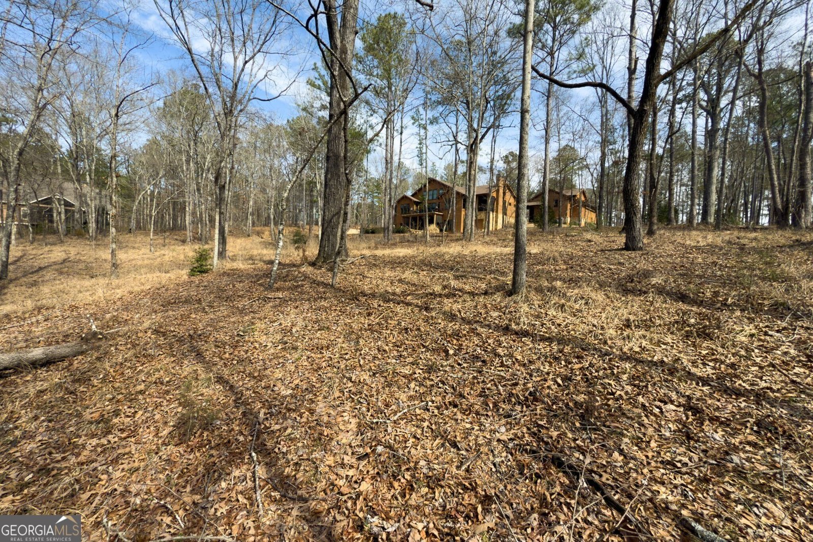 975 Blalock Lakes Drive Newnan - 31