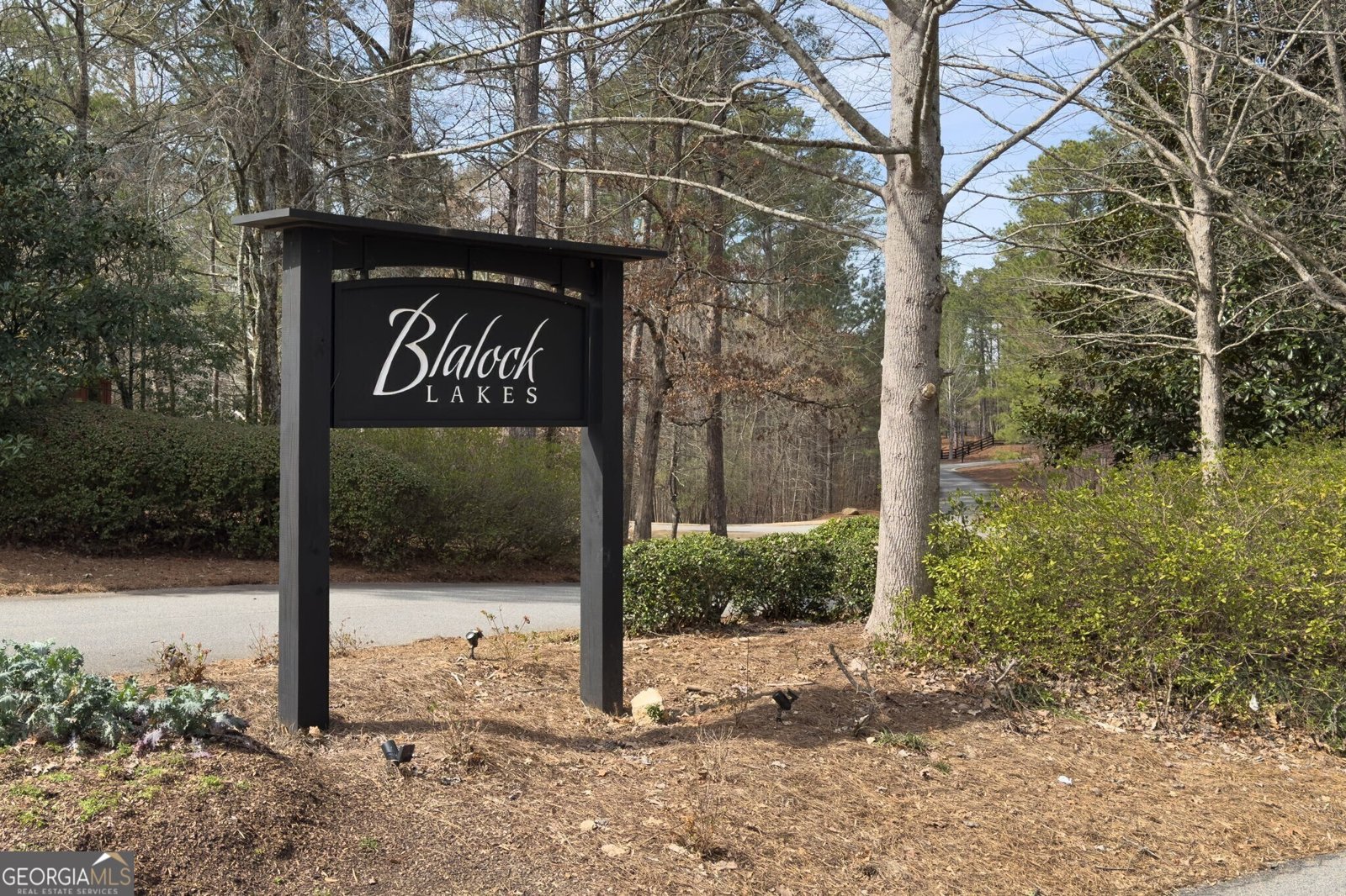 975 Blalock Lakes Drive Newnan - 32