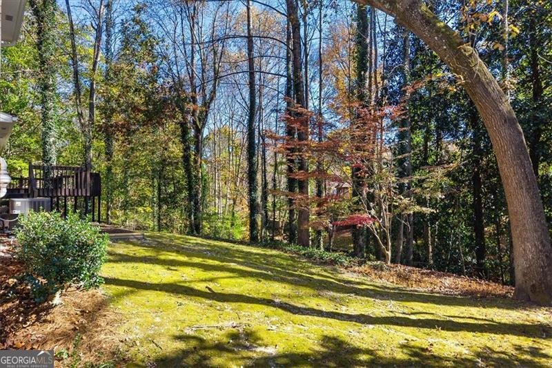 2219 SPRING MILL Cove Atlanta - 18