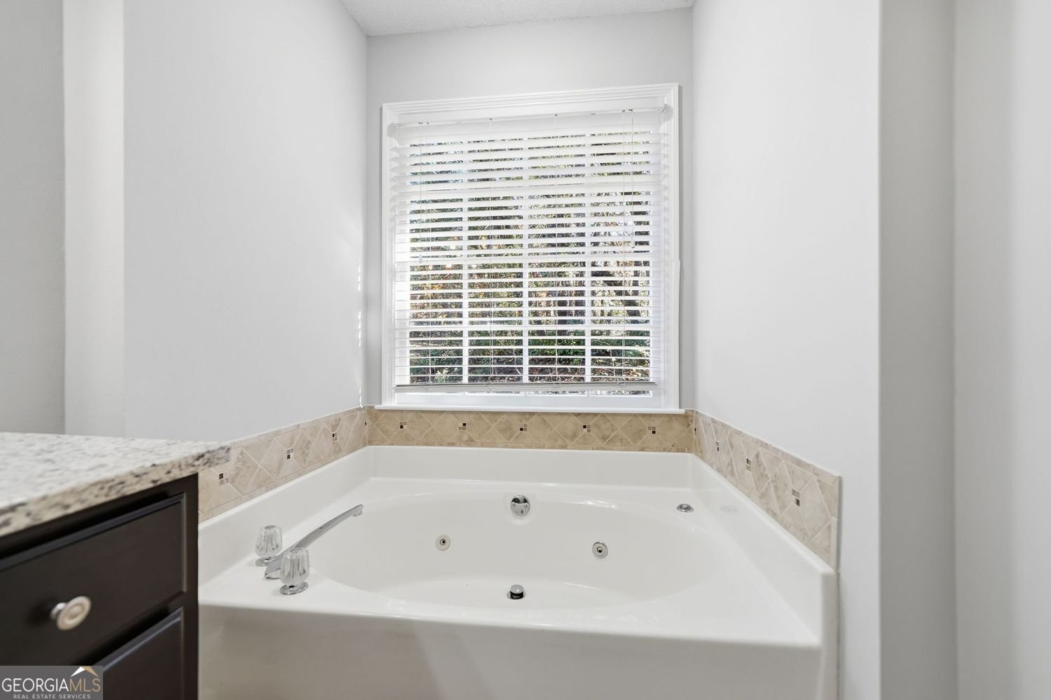 5615 Trotters Court Cumming - 30