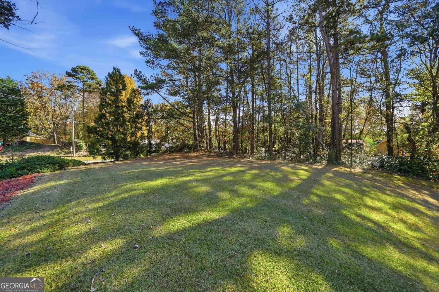 5615 Trotters Court Cumming - 46