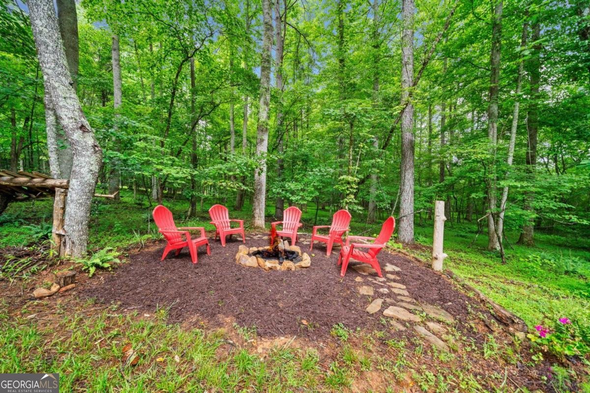 173 Nexus Drive Ellijay - 3