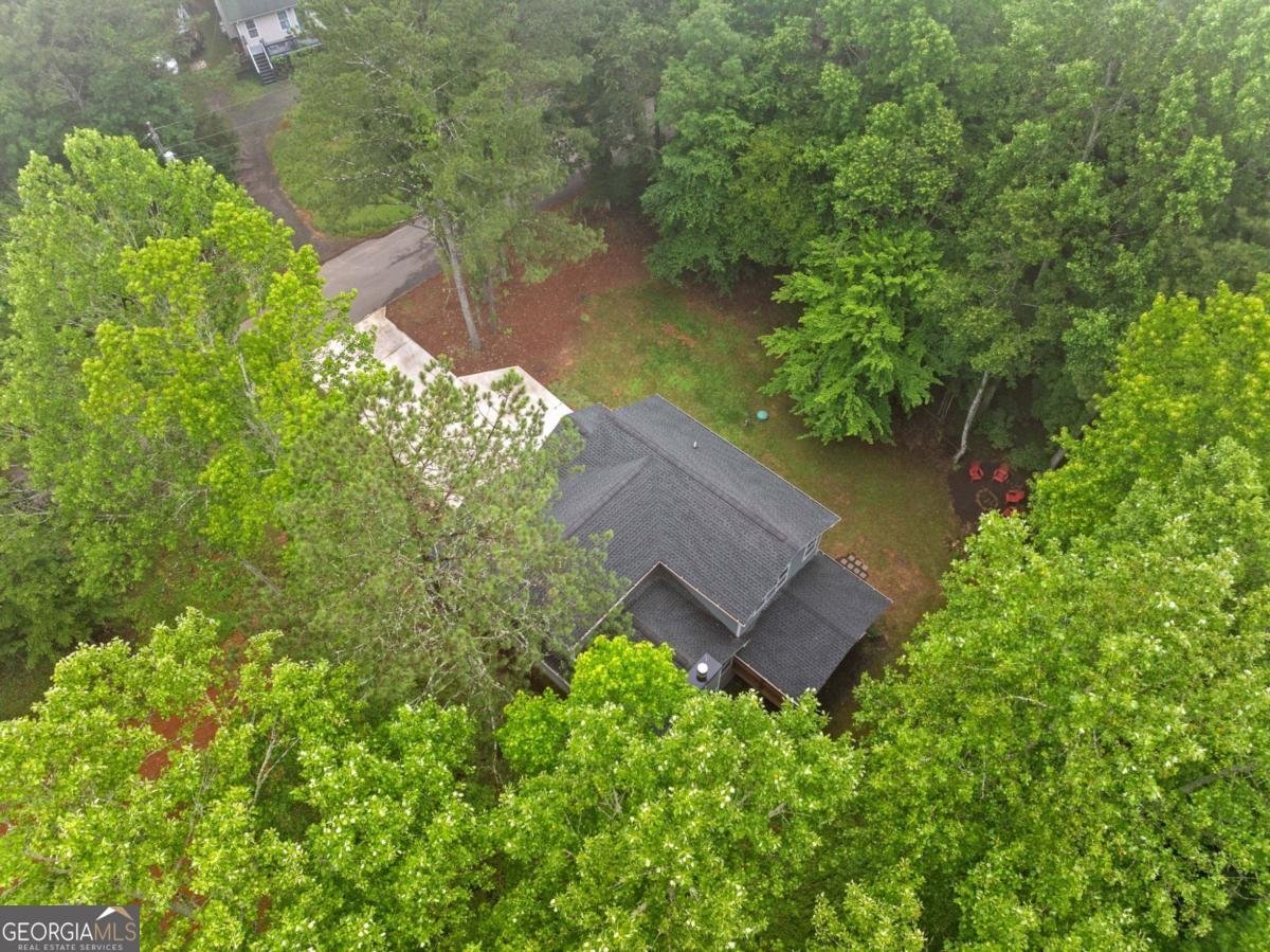 173 Nexus Drive Ellijay - 36