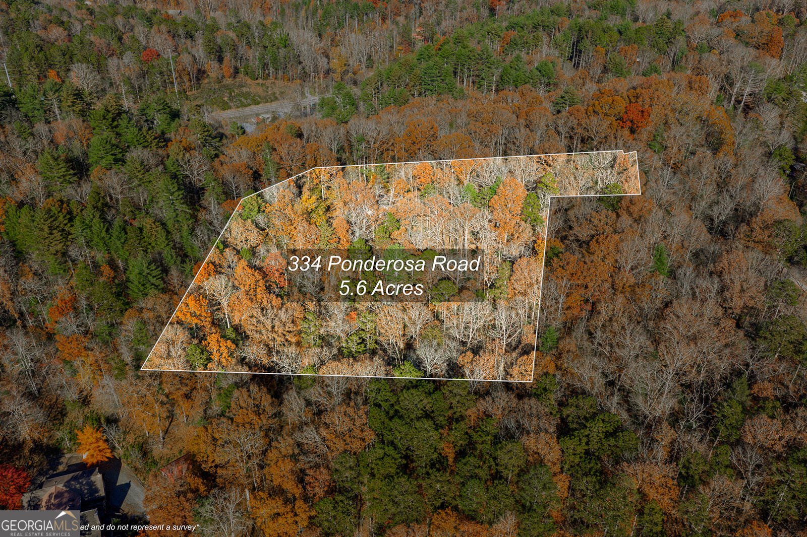 334 Ponderosa Road Ellijay - 11