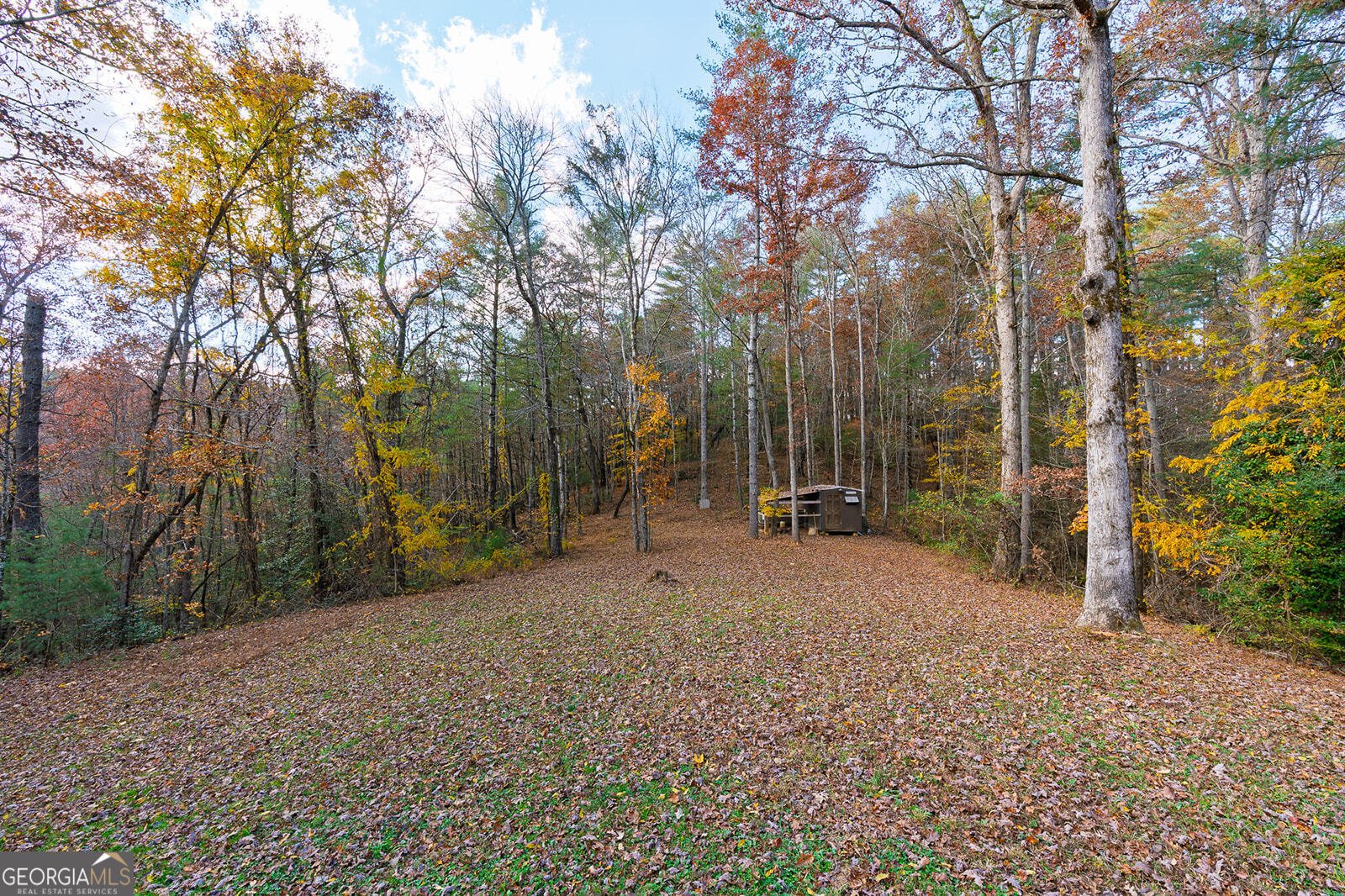334 Ponderosa Road Ellijay - 3