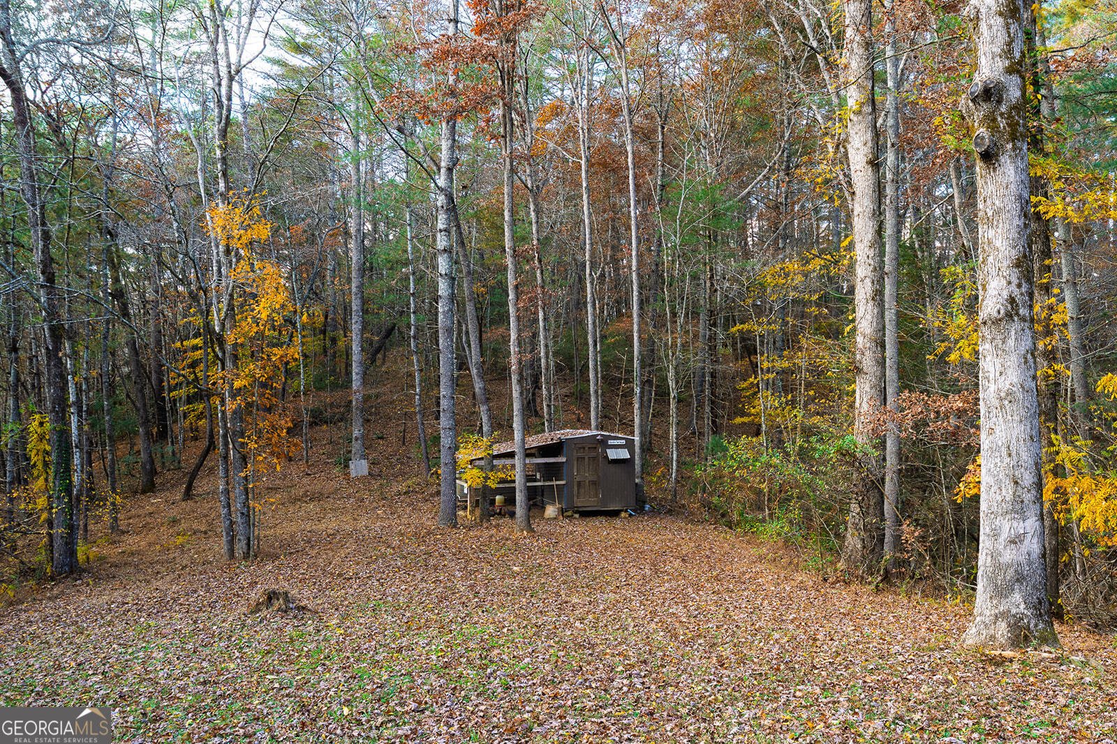 334 Ponderosa Road Ellijay - 4
