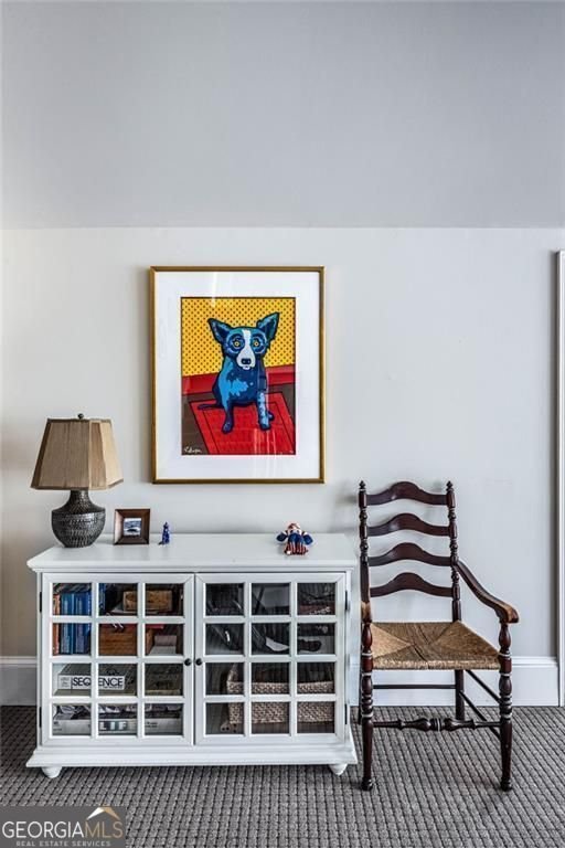 803 Night Fire Drive Dawsonville - 18