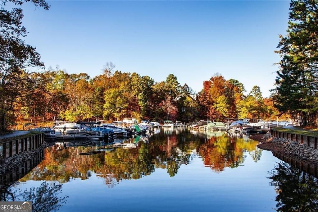 803 Night Fire Drive Dawsonville - 55