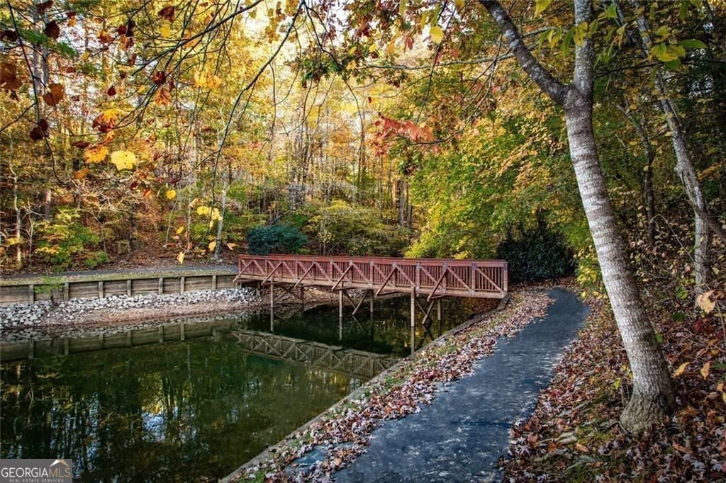 803 Night Fire Drive Dawsonville - 56