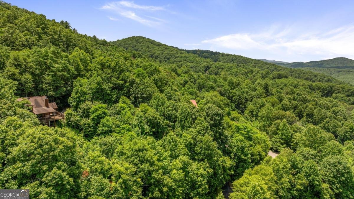 469 Mountain High Drive Mineral Bluff - 4