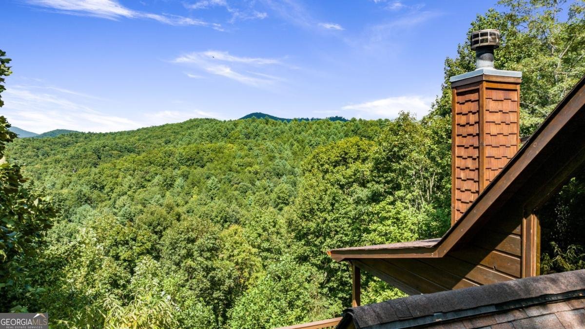 469 Mountain High Drive Mineral Bluff - 46