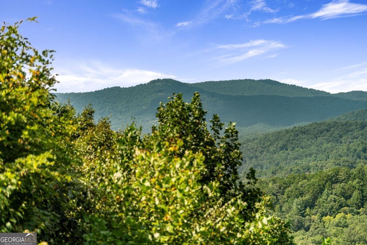 469 Mountain High Drive Mineral Bluff - 60