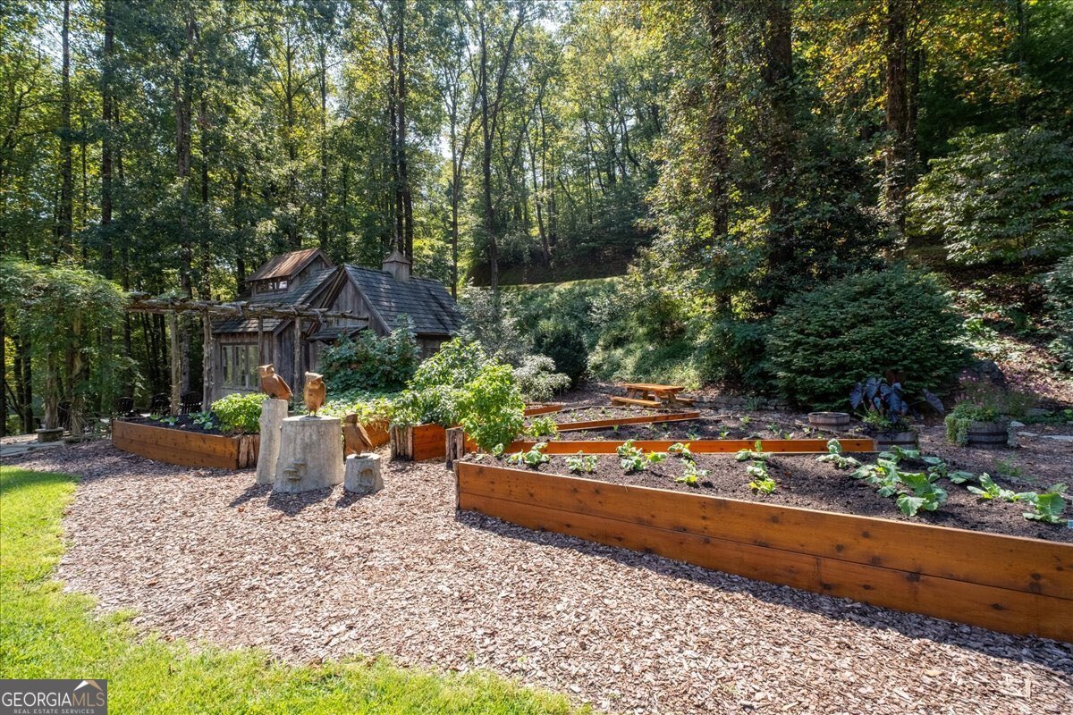 207 Utana Bluffs Trail Ellijay - 38