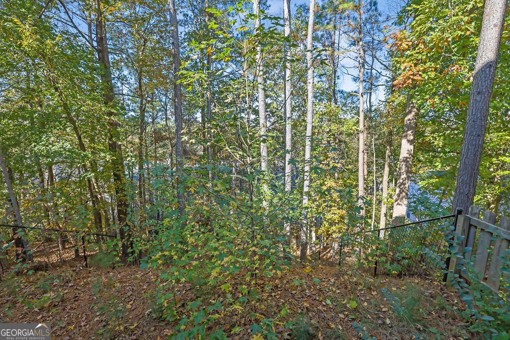 4085 Spring Cove Drive Duluth - 45
