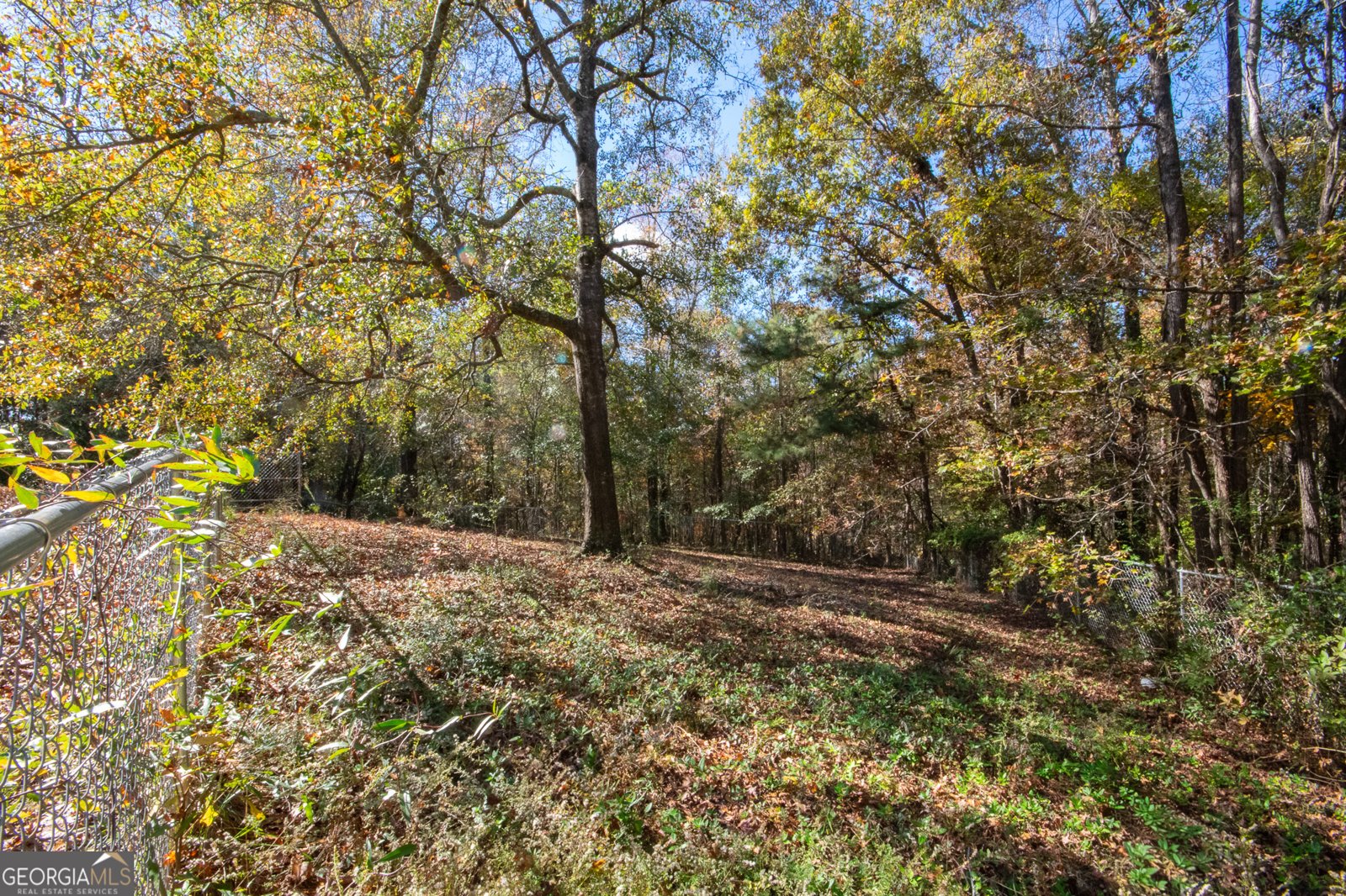 641 Whitaker Road Lagrange - 43