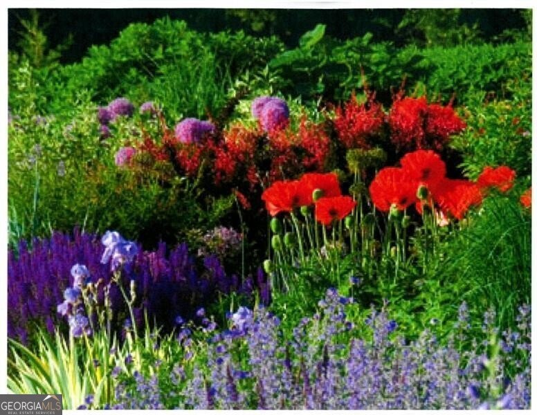 2100 West Wesley Road Atlanta - 34