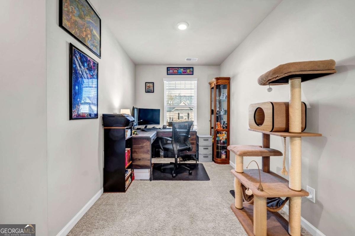 46 Cherry Tree Bend Newnan - 13