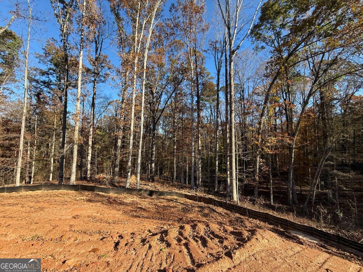 91 LENTEN ROSE Lane Pendergrass - 21