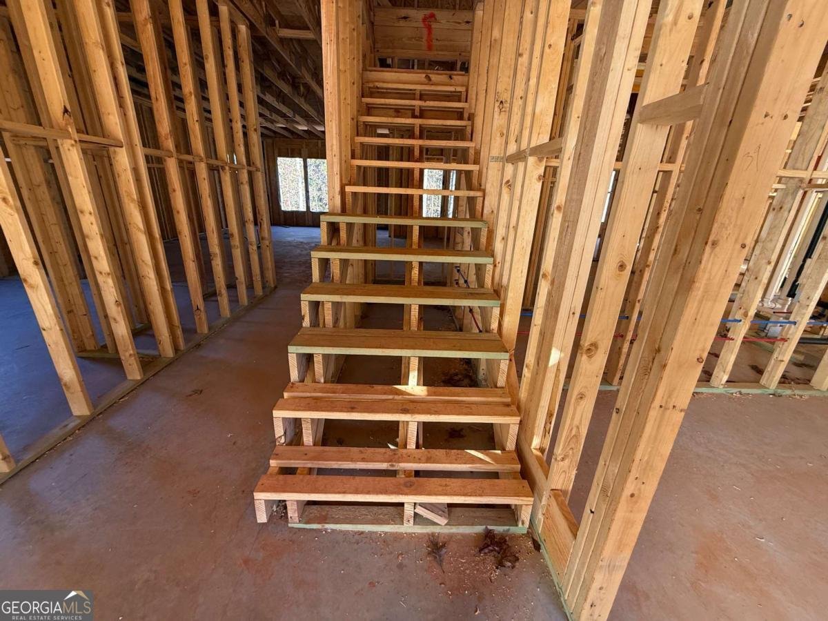 91 LENTEN ROSE Lane Pendergrass - 32