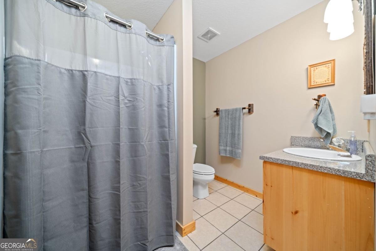 100 Julep Circle Ellijay - 22