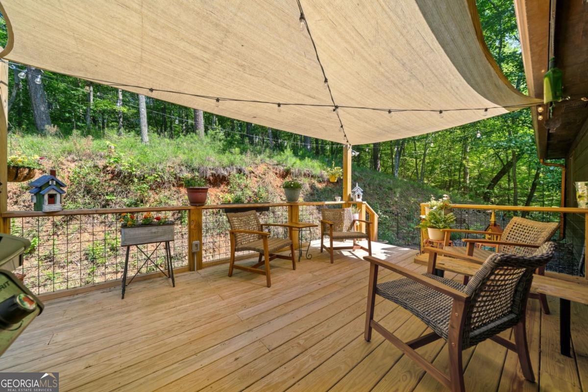 100 Julep Circle Ellijay - 37