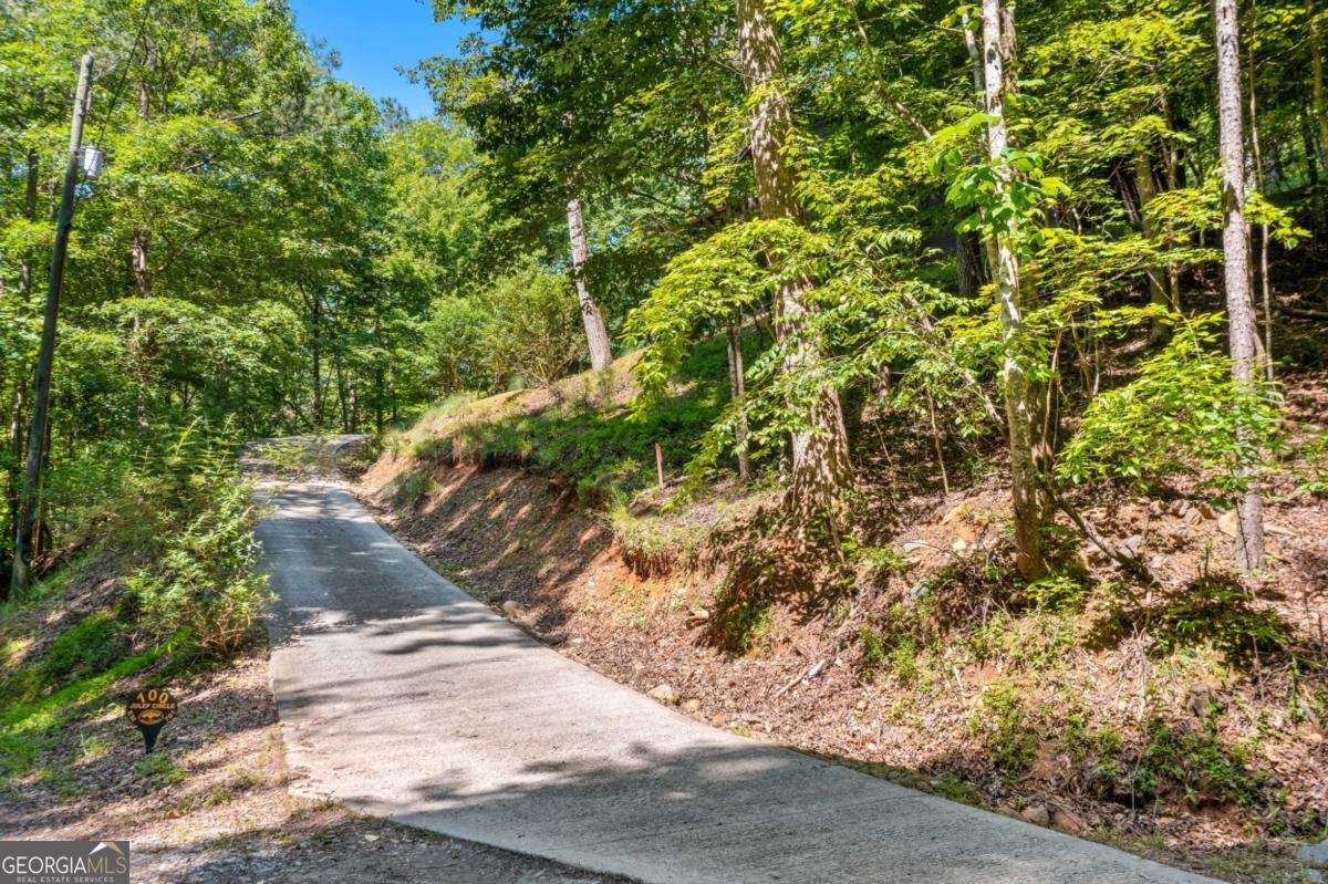 100 Julep Circle Ellijay - 40