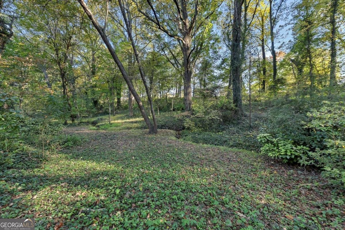 782 Prince Avenue Marietta - 36